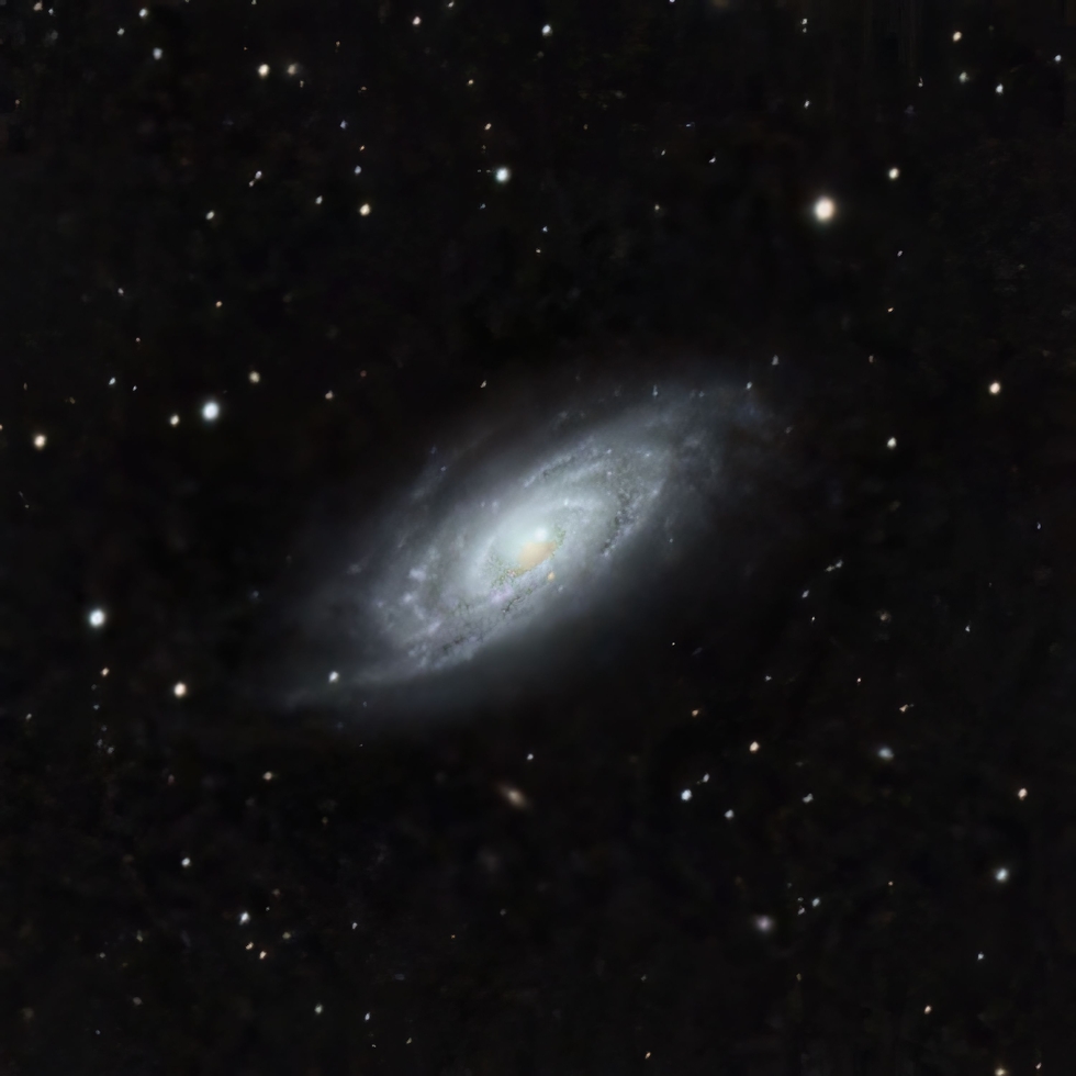 NGC3705 Telescope Live